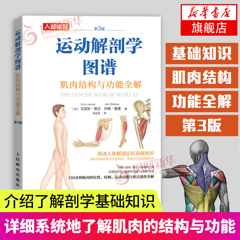 运动解剖学图谱肌肉结构与功能全解解刨学第3版180余种肌肉的位置结构运动功能与相关损伤全解体育院校相关专业健身及运动爱好者书