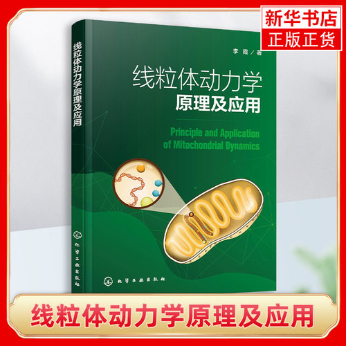 线粒体动力学原理及应用线粒体表观遗传学 线粒体动力学及其对代谢调控 线粒体动力学调控免疫应答 机械力介导下线粒体动力学响应