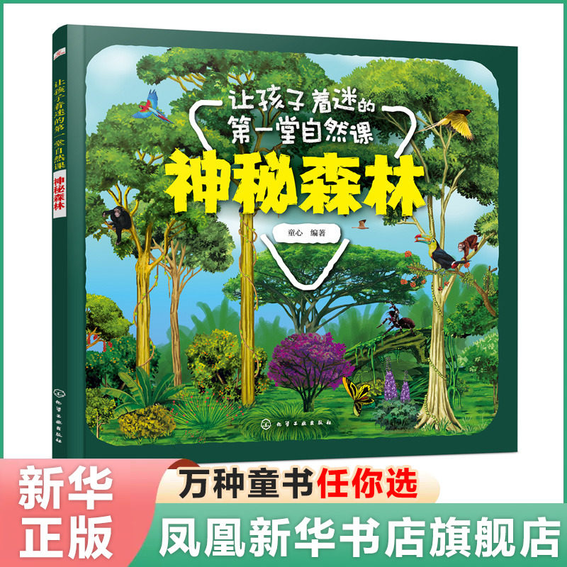 神秘森林  让孩子着迷的一堂自然课 3-6岁儿童科普百科绘本三四五六