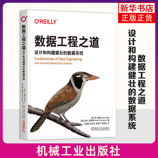 数据工程之道-设计和构建健壮的数据系统 (美)乔.里斯 机械工业出版社 新华正版书籍
