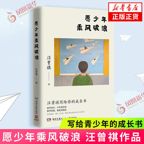 少年乘风破浪正版书籍凤凰