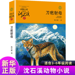 刀疤豺母动物小说大王沈石溪品藏书系 沈石溪动物小说 儿童文学书籍9-11-12-14岁 小学生3-5-6年级课外书籍 正版青少年读物