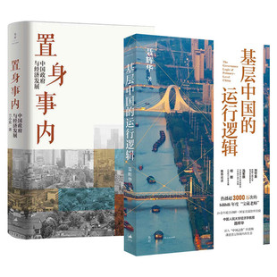 套装全2册 基层中国的运行逻辑+置身事内 中国政府与经济发展 聂辉华兰小欢 基层体制内的生态图景 政治体制运转 新华书店正版书籍