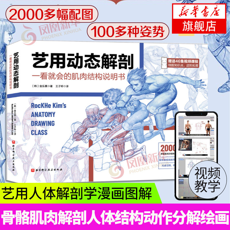 艺用动态解剖 附赠46集作者直播课程视频 素描绘画教学角色设计 插画师金乐熹 人体动态结构教程肌肉结构 凤凰新华书店旗舰店