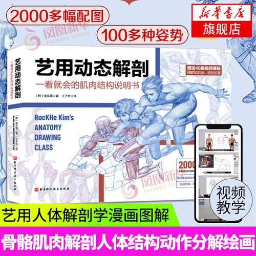 艺用动态解剖 附赠46集作者直播课程视频 素描绘画教学角色设计 插画师金乐熹 人体动态结构教程肌肉结构 凤凰新华书店旗舰店 - 封面