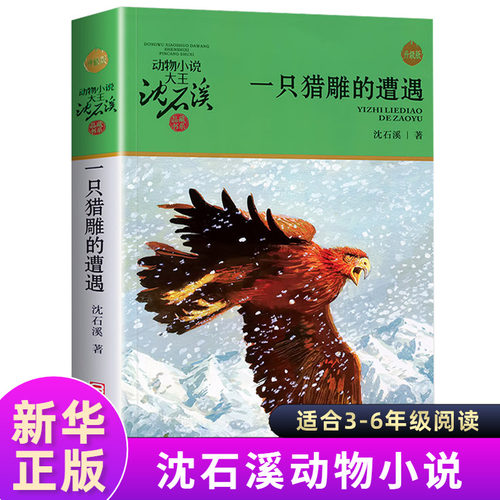 官方正版 一只猎雕的遭遇 动物小说大王沈石溪品藏书系中小学生课外阅读书不带拼音儿童文学书籍 浙江少年儿童出版社