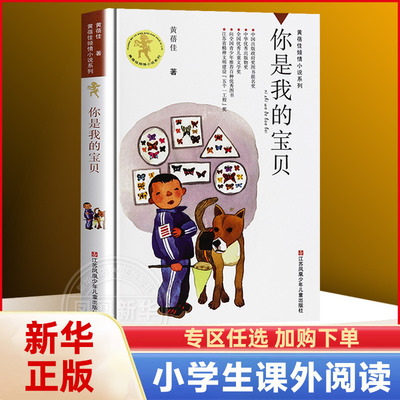 黄蓓佳倾情小说系列儿童文学
