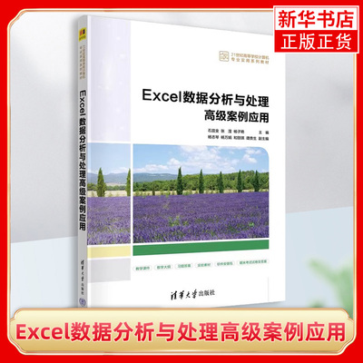 Excel数据分析与处理高级案例