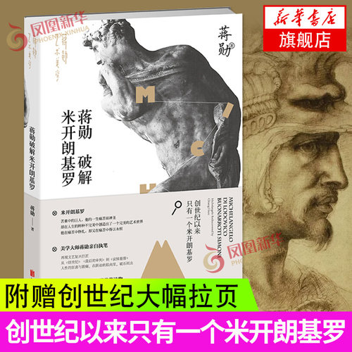 【凤凰新华书店旗舰店】蒋勋破解米开朗基罗 蒋勋的书籍 外国美术史西方艺术欣赏赏析书籍 艺术鉴赏 画册名家画集书籍【正版书籍】