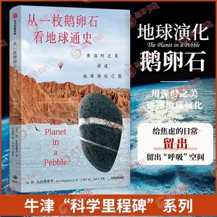 从一枚鹅卵石看地球通史 扬·扎拉斯维奇 中信出版社 科普读物 深入浅出了解地球演化史 新华正版书籍