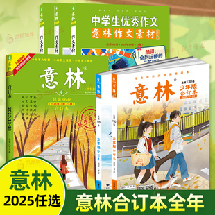 24.23.22.21年合订本期刊杂志写作素材青春励志故事集文学小说文摘正版 任选 十五周年全彩版 少年版 意林合订本杂志2025年原创版