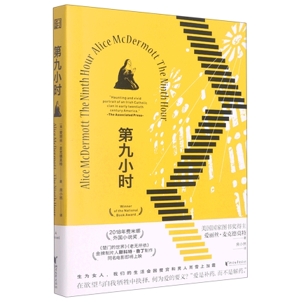 第九小时 爱丽丝麦克德莫特长篇小说 爱是补药 而不是解药 生为女人 我们的生活会因贫穷和男人而雪上加霜 凤凰新华书店旗舰店