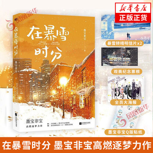 在暴雪时分电视剧原著小说