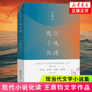 现代小说化读 王鼎钧 商务印书馆 文学理论文学评论与研究 小说的艺术 正版书籍 【凤凰新华书店官方旗舰店】