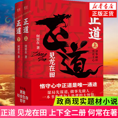 正道见龙上下二册何常政商小说
