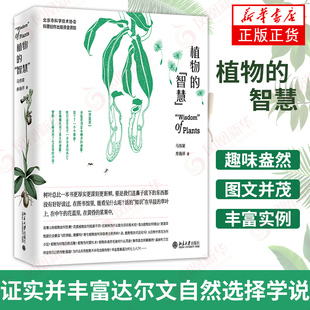 植物的智慧 马炜梁 寿海洋 著 北京大学出版社 结合植物分类学生态学环境生物学行为学等学科去理解植物的生存之道图书籍