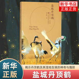 【凤凰优选】盐城丹顶鹤 吕士成 著 丹顶鹤及其湿地生境的神奇与瑰丽 破译世界珍禽丹顶鹤的自然遗传基因 江苏凤凰美术出版社