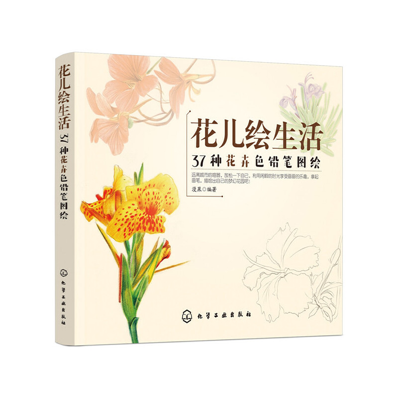 花儿绘生活 37种花卉色铅笔图绘 色铅笔手绘基础入门书 彩色铅笔花卉绘画入门教程书籍临摹基础初学者 零基础彩铅画入门教程书籍