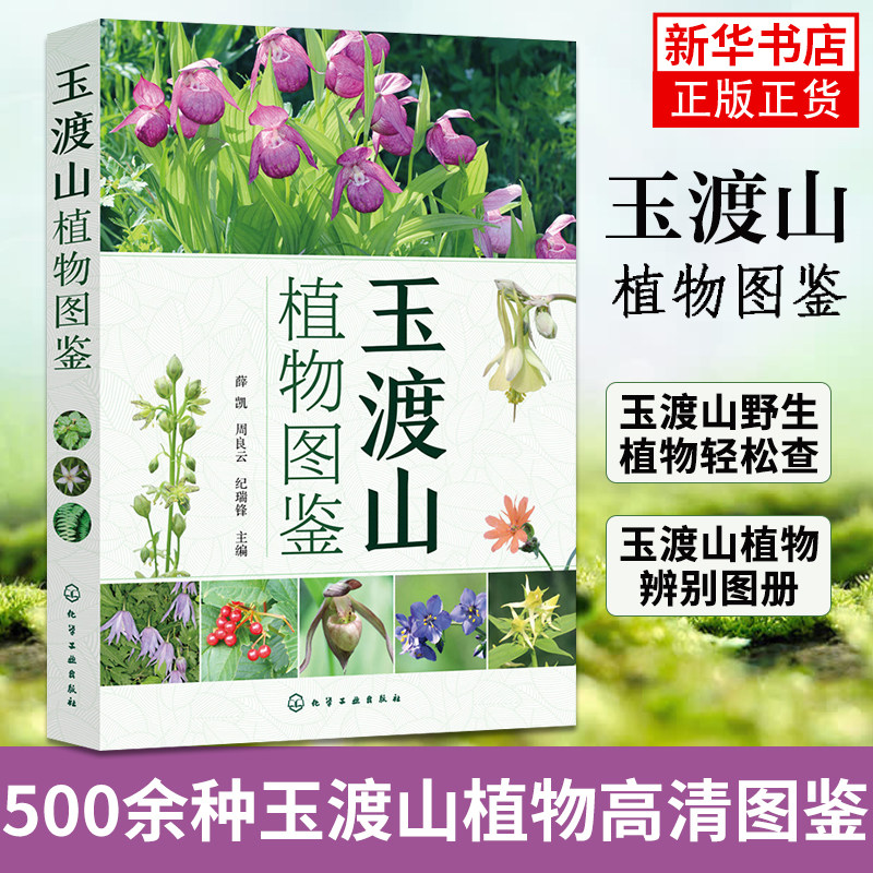 玉渡山植物图鉴 500余种玉渡山植物高清图鉴 野花植物图鉴 玉渡山野生植物轻松查 玉渡山植物辨别图册 凤凰新华书店旗舰店