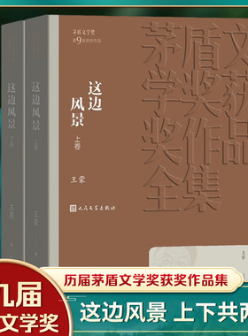 这边风景全套2册平装本 矛盾文学第9届获作品 王蒙著人民文学出版社正版茅盾文学获作品全集书系中国现当代文学名著小说