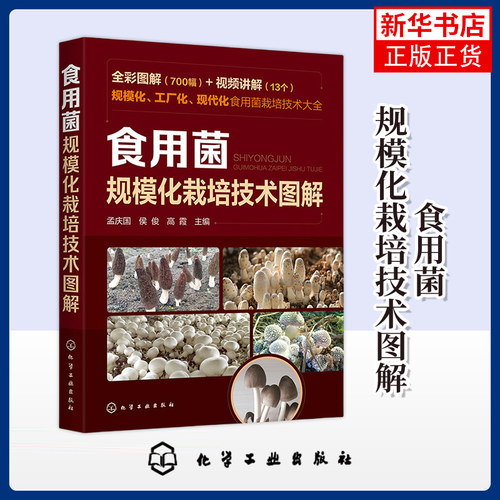食用菌规模化栽培技术图解700幅 食用菌工厂化栽培食用菌规模栽培 鸡腿菇球盖菇 食用菌病害防治食用菌规模化农业推广人员参考书籍
