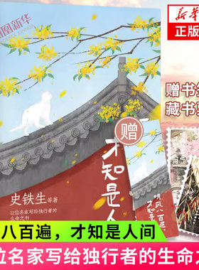 听风八百遍才知是人间