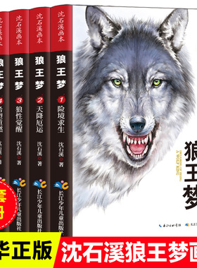 狼王梦正版全套5册沈石溪动物小说画本系列 狼王梦四年级 小学生三四五六年级课外阅读书籍正版8-12岁儿童文学
