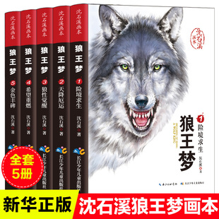 12岁儿童文学 全套5册沈石溪动物小说画本系列 小学生三四五六年级课外阅读书籍必正版 狼王梦四年级 狼王梦正版