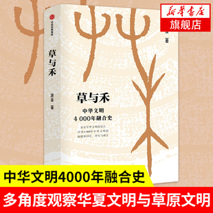 集团 波音著 凤凰新华书店旗舰店 书籍 正版 中信出版 历史书籍中国通史 一本书读懂中国历史 中华文明4000年融合史 草与禾