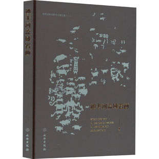 青海玉树田野考古报告集 文物出版 新 社凤凰新华书店旗舰店 青海省文物考古研究所艺术理论 通天河流域岩画