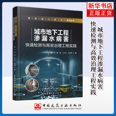 城市地下工程渗漏水病害快速检测与高效治理工程实践郭飞，姜瑜，王文正，张丽丽建筑/水利（新）中国建筑工业出版社