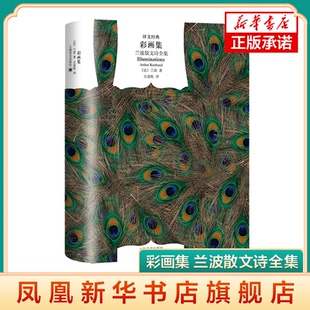彩画集 兰波散文诗全集  法 兰波   上海译文出版社  正版书籍  凤凰新华书店旗舰店  现代 当代文学
