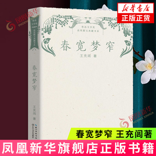 春宽梦窄-鲁迅文学奖获奖散文典藏书系 王充闾著 长江文艺出版社 中国现当代随笔 新华正版书籍