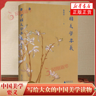 中国美学要义 朱良志 艺术理论（新）写给大众的中国美学读物 美学要义现当代文学 广西师范大学出版社凤凰新华书店旗舰店