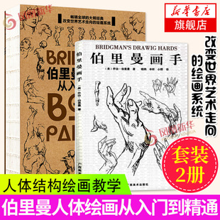 伯里曼人体绘画从入门到精通+伯里曼画手 伯里曼人体结构绘画教学 伯里曼速写人体画手五官头像绘画教程描摹新手基础练习正版书
