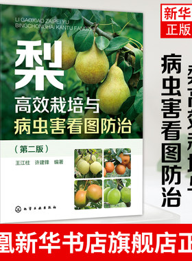 梨高效栽培与病虫害看图防治 第二版 王江柱 标准建设梨园 土肥水管理整形修剪花果管理 低效梨树高接改造 梨树种植合作社参考