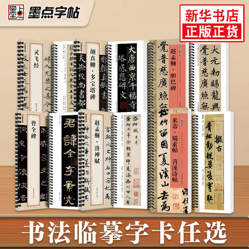 墨点字帖中国碑帖近距离字卡颜真卿多宝塔碑赵孟頫洛神赋胆巴碑灵飞经中国碑帖米芾蜀素帖苕溪诗帖文徵明落花诗成人字帖临摹书籍