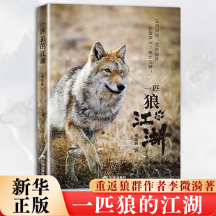 一匹狼的江湖 李微漪 著 8-14岁儿童文学 基于传奇事件和纪实文学 辅以童话式的无羁想象 将真实与虚构相结合 新华正版书籍