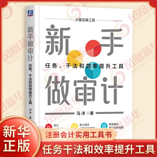 新手做审计 任务干法和效率提升工具 马洋 著 一本由执业十余年的注册会计师编写的实用工具书 机械工业出版社 新华书店正版书籍