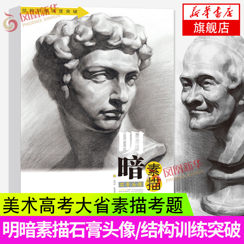 明暗素描石膏头像结构训练深度突破美术绘画书籍技法结构联考校考临摹