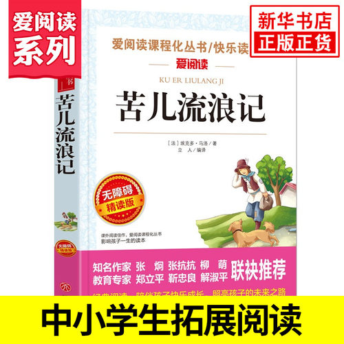 苦儿流浪记小学生课外书
