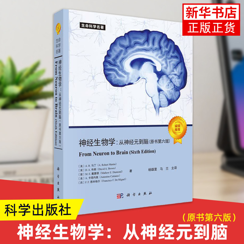 神经生物学 从神经元到脑 原书第六版中文版 尼克尔斯尼著 杨雄里译 科学出版社 生命科学名著 From Neuron to Brain