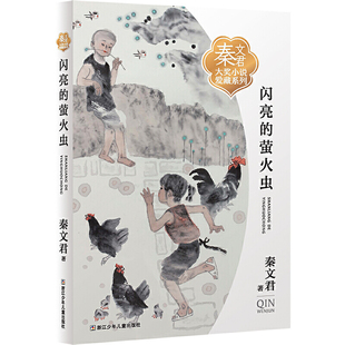 15岁小学生四五六年级初中生青少年课外阅读儿童文学小说故事书成长励志小说新华正版 秦文君大奖小说爱藏系列9 萤火虫 闪亮