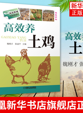 高效养土鸡 魏刚才 张遂平 散养鸡生态养鸡养殖技术养鸡的书 家禽养殖技术书 机械工业出版社凤凰新华书店旗舰店