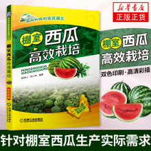 棚室西瓜高效栽培 西瓜种植 病虫害防治  工业农艺技术 园艺类书籍 苗锦山 机械工业出版社凤凰新华书店旗舰店