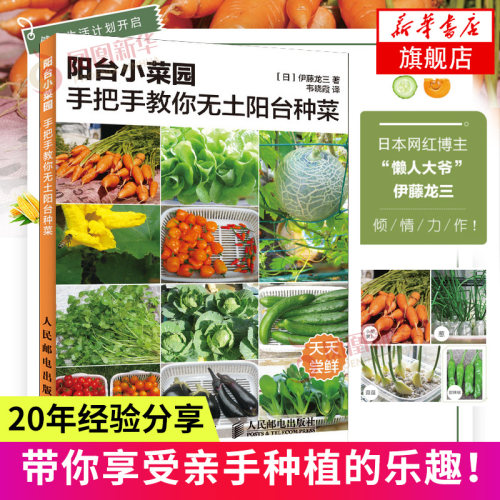 阳台小菜园 手把手教你无土阳台种菜 打造简单温馨家庭菜园教程 四季收获无农药健康应季蔬菜 日本网红博主懒人爷爷20年经验