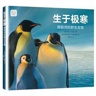 生于极寒 南极洲的野生生物 动物世界大百科少儿百科图书幼儿科普企鹅海豹南极狼南极贼鸥绘本海洋阅读课外书小学生二三四年级读物