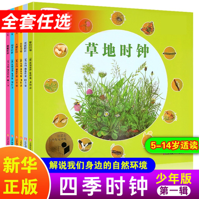 6册少年科普四季时钟系列太阳