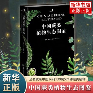 中国蕨类植物生态图鉴 王波 重庆大学出版社 科普读物 生物世界植物 新华正版书籍