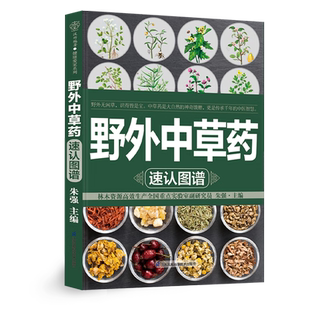 】现货速发 野外中草药速认图谱 中草药植物形态图谱 中药辨识查用基础知识书籍 中药鉴定学图集